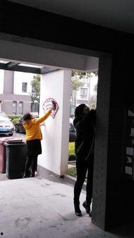 国产在线楼道,打造智能家居新体验