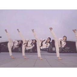 国产剧跆拳道女友在线播放,热血青春，爱情与梦想的交织之旅