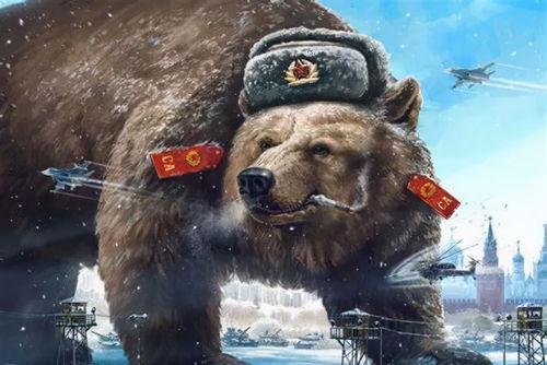 国产电影打棕熊后续在线观看